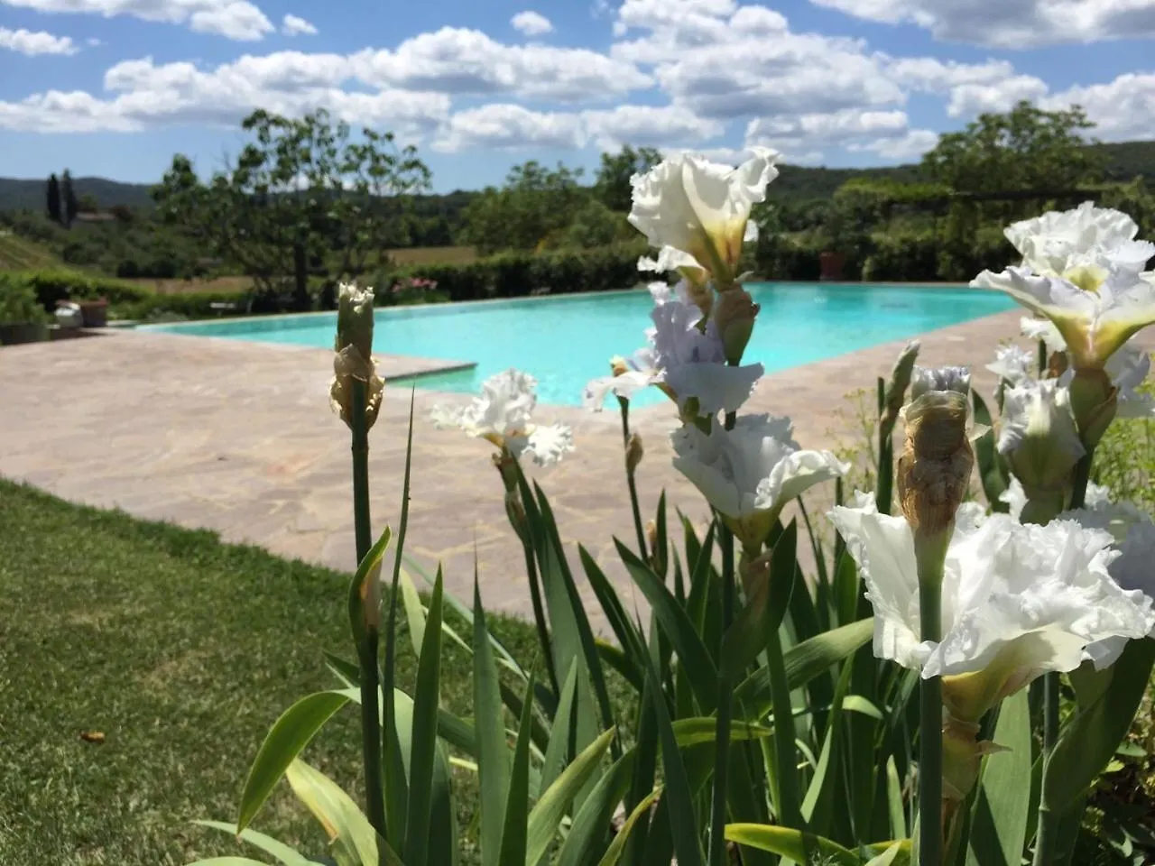 Séjour à la ferme Tenuta Di Corsano Monteroni dʼArbia Italie