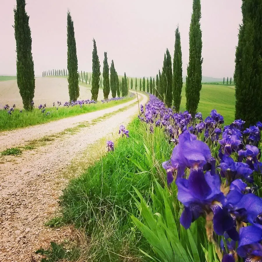 Séjour à la ferme Tenuta Di Corsano Monteroni dʼArbia