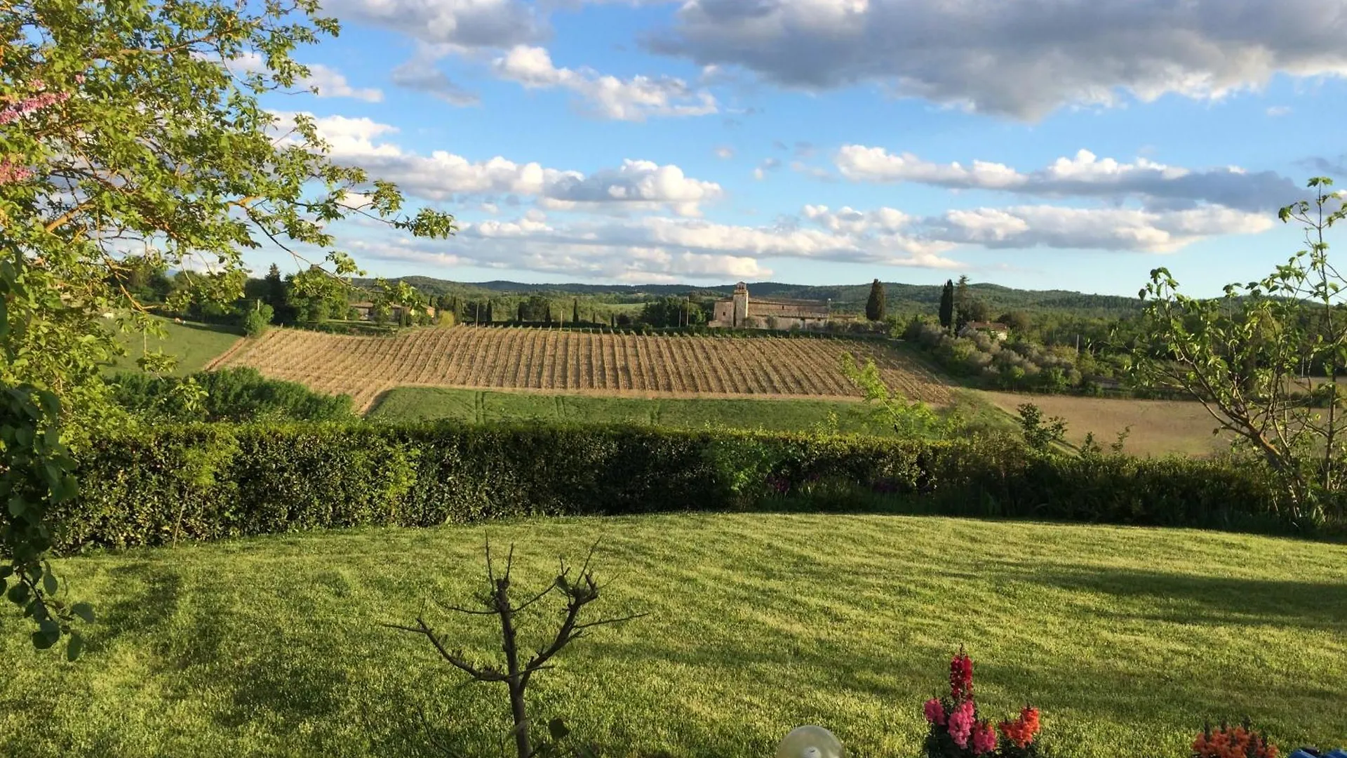 Tenuta di Corsano Monteroni dʼArbia Italia