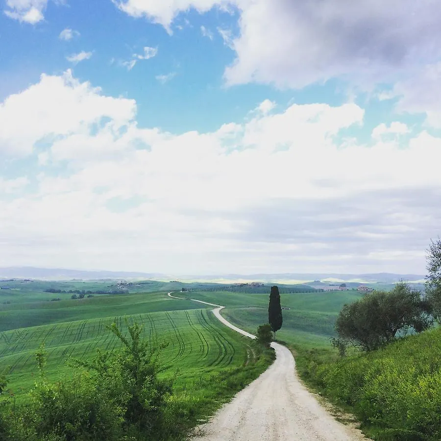 Alloggio per agriturismo Tenuta di Corsano Monteroni dʼArbia